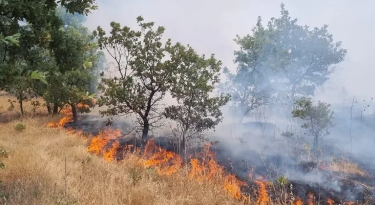 Manisa'da ormanlık alanı tehdit eden yangın