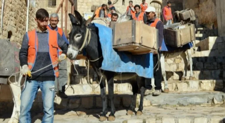 Mardin'in simgesi 'Çöp Eşeklerin' görevleri sona eriyor