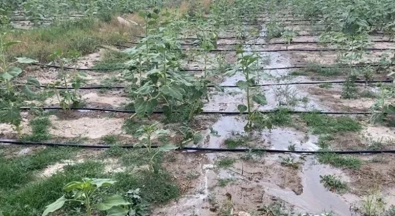 Melikgazi Belediyesi Su İsrafını Engelleyerek Tarımsal Verimliliği Artırıyor