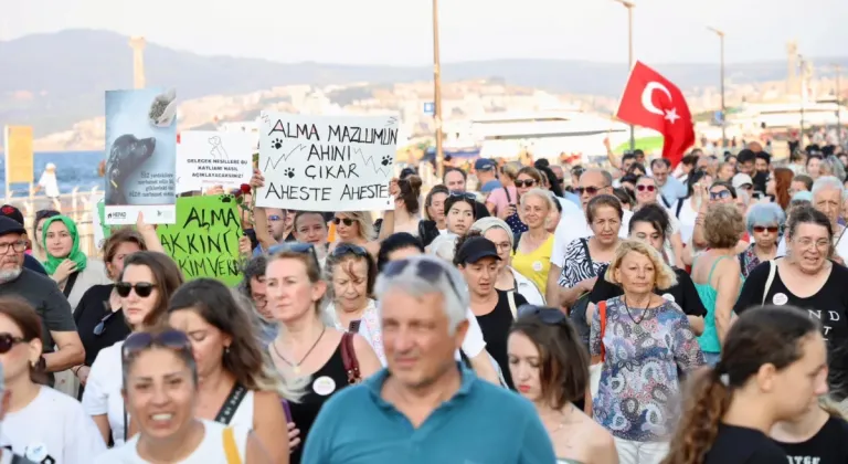 Mudanya'da Sokak Hayvanları İçin Sesler Yükseldi: 'Yasayı Geri Çek'