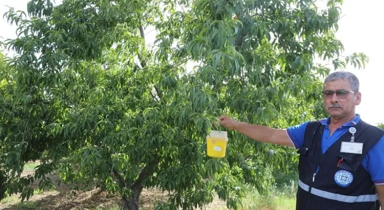 Muğla Büyükşehir Belediyesi Narenciye İhracatını Destekliyor