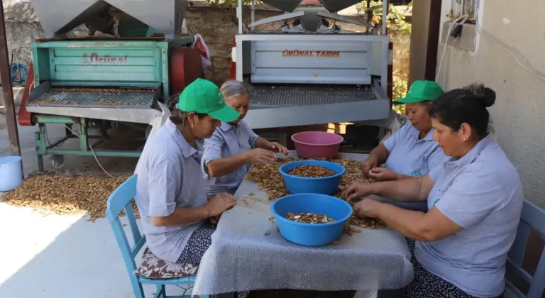 Muğla tarımı dünyaya açılıyor