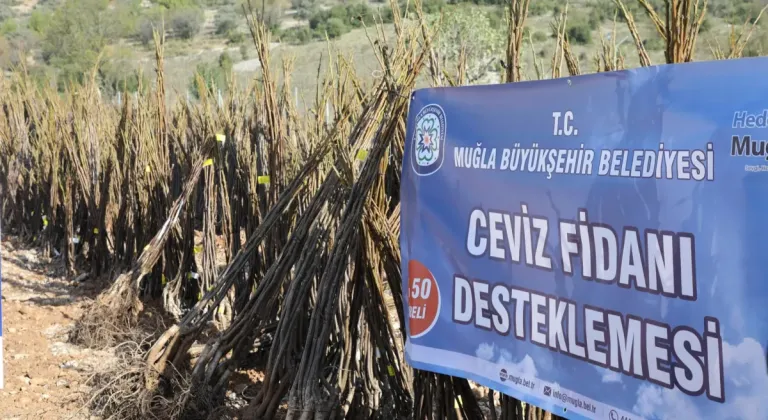 Muğla'da her kapıda bir fidan!