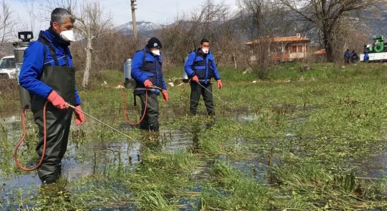 Muğla'da Vektörle Mücadele Hız Kesmeden Devam Ediyor