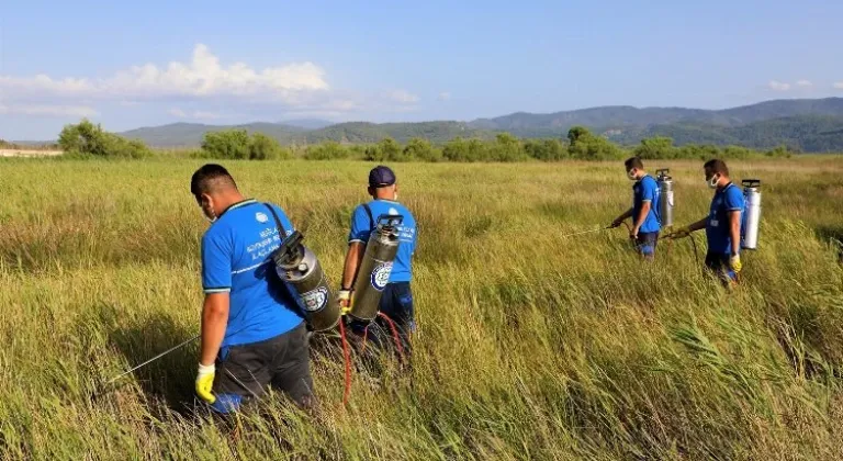 Muğla'da Vektörle Mücadelede Büyük Adımlar: Aedes Albopictus Tehlikesi Artıyor