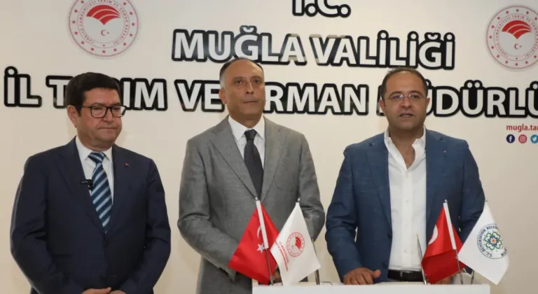 Muğla'dan 10 bin aşı ile hayvancılığa destek