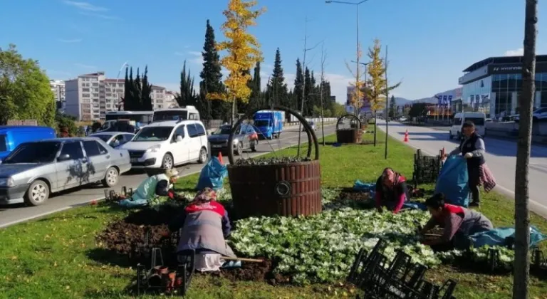 Ordu'da 7 Milyon Ağaç ve Fidanla Doğal Yaşam Yeşeriyor