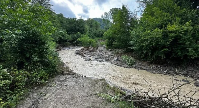 Ordu'da Şiddetli Yağış Sonucu Üç İlçeyi Sel Vurdu, 1 Kişi Hayatını Kaybetti