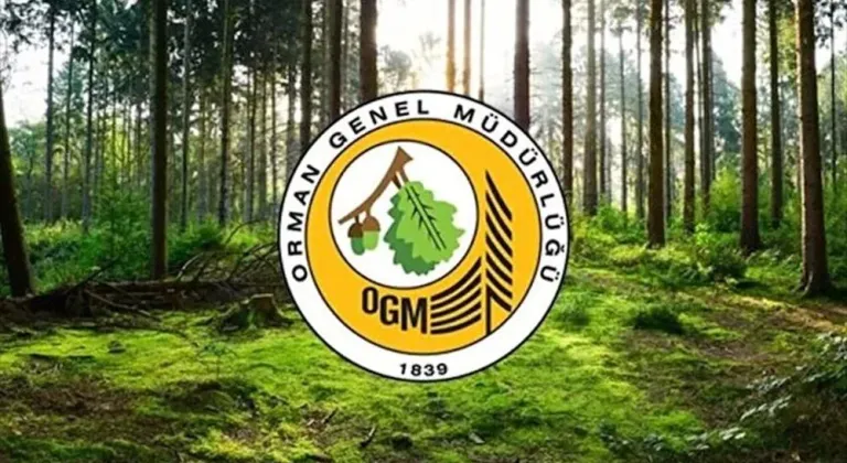 Orman Mühendislerine Fırsat! OGM Yeni Eleman Alıyor!