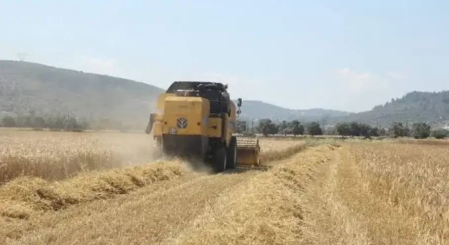Manşet Resmi
