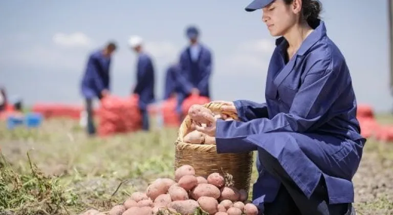 PepsiCo Türkiye Yenileyici Tarımda Büyük Başarı Elde Etti