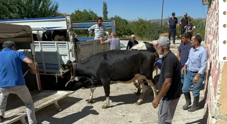 Rotary'den Depremzedelere Gebe Düve Yardımı