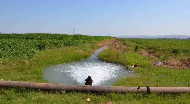 Şanlıurfa ve Mardin'de Tarımsal Sulama Abonelerine Kesin Uyarı! 18 Bin Çiftçiyi İlgilendiriyor