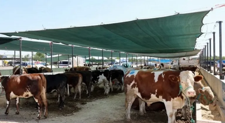 Selçuklu’da kurban satış ve kesim yerleri belli oldu