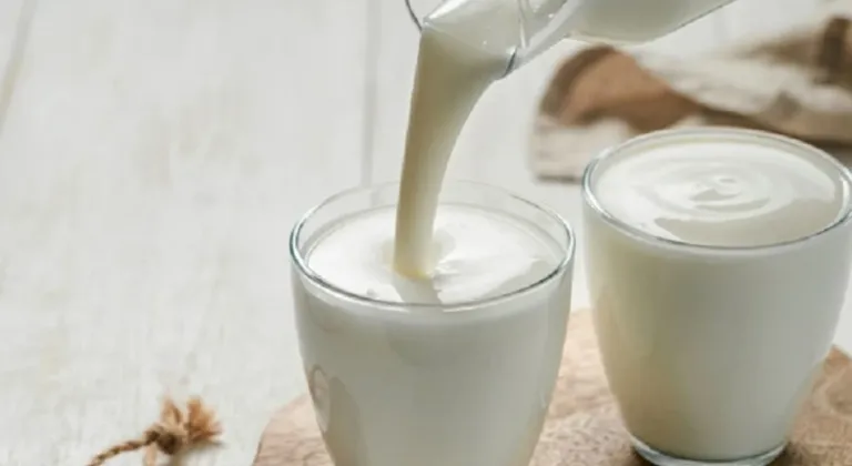 Süt Endüstrisinde Büyük Değişim: Ayran ve Kefir Üretimi Yükselişte