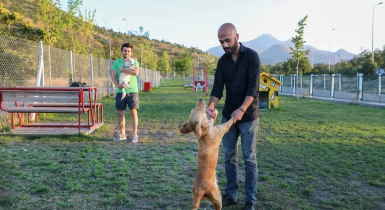 Talas'ta hayvanlara özel patiyol        