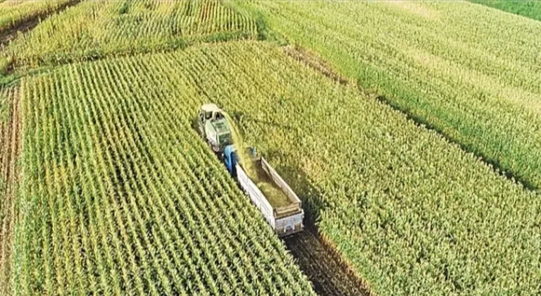 Tarım Arazilerini Etkinleştirme Kararı Resmi Gazete'de Yayımlandı!