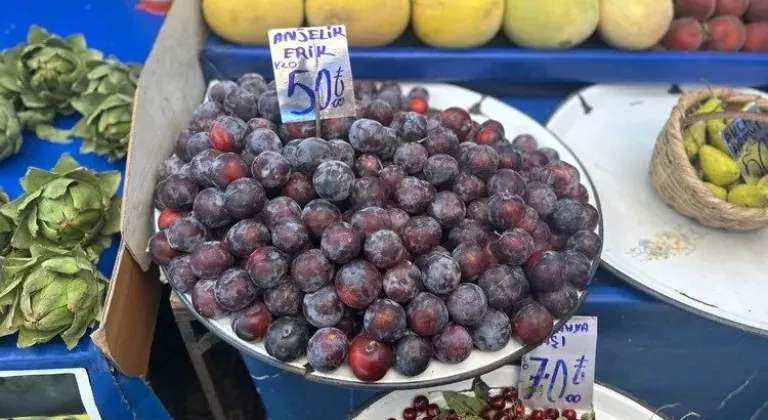 Temmuz Ayında Kırmızı Erik Tezgahlara İştah Açtı!