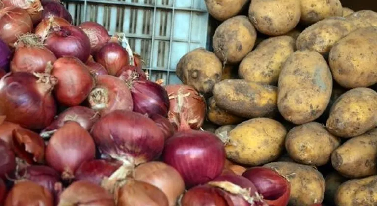 Üretici ile market makası yine büyük! Devlet müdahale etmeli!