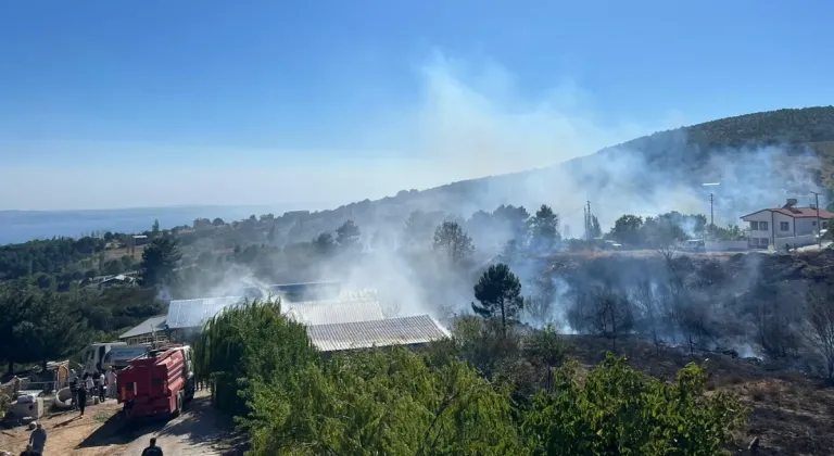 Yalova Armutlu'da Orman Yangını Hızlı Müdahale ile Söndürüldü