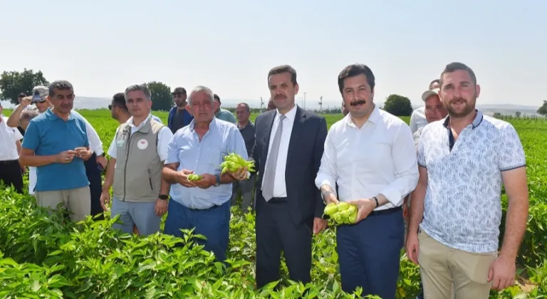 Yenişehir Biberi Marka Değeri Artışıyla Dikkatleri Üzerine Çekiyor