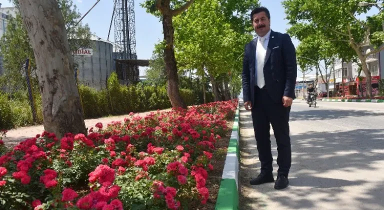 Yenişehir'in vitrini çiçek açacak