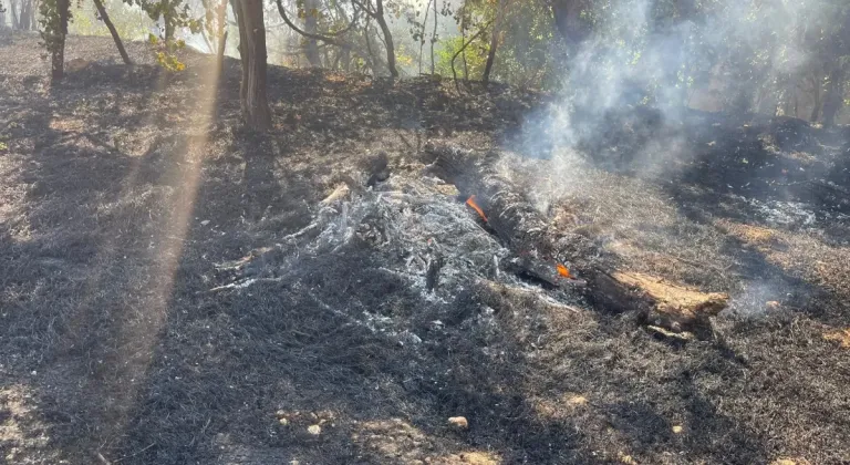 Yeşilli’de orman yangını